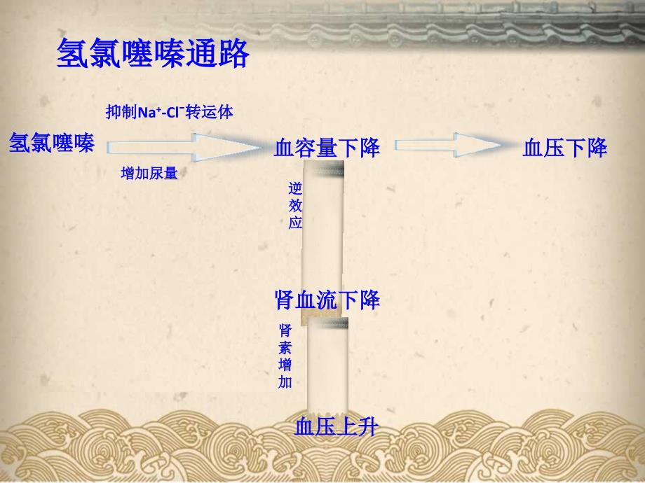 机能学设计实验比较氢氯噻嗪和普萘洛尔对家兔肾血管性高血压降压效果_第3页