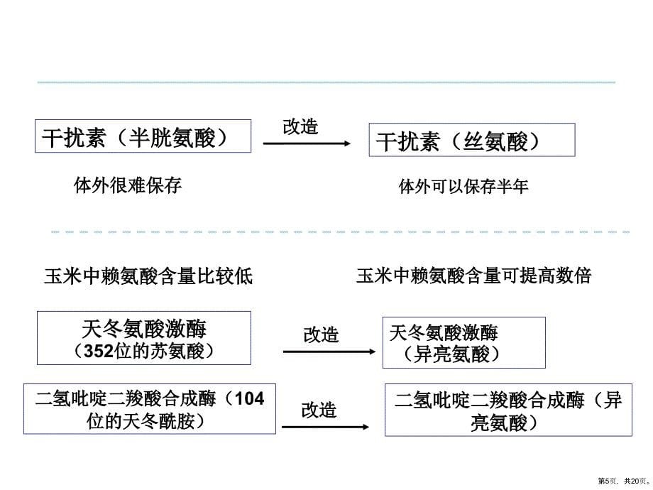 选修三14蛋白质工程的崛起课件_第5页