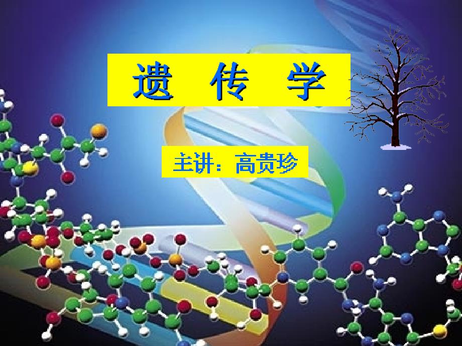 遗传学的概念和研究内容_第1页