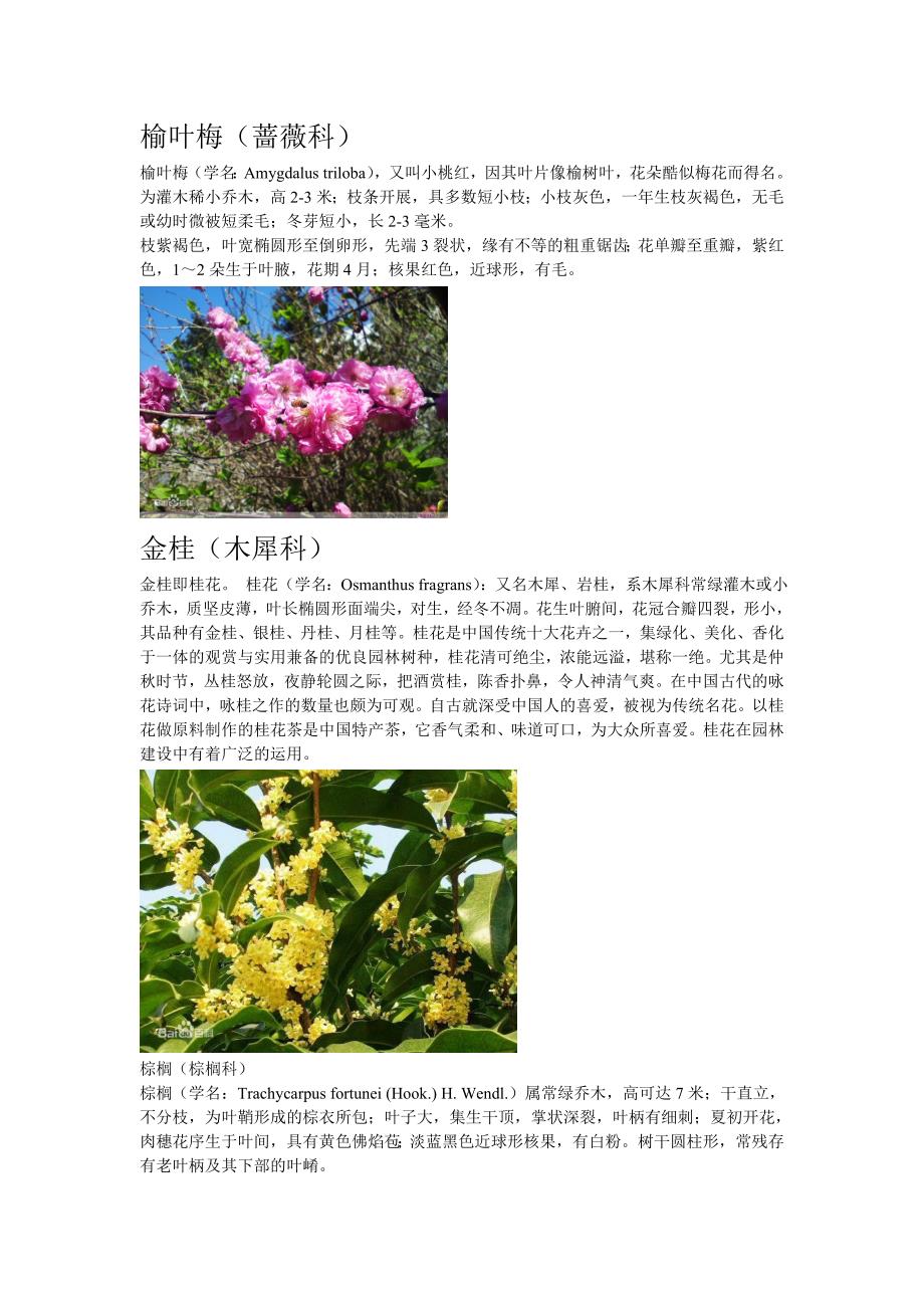 校园花坛植物名牌_第3页