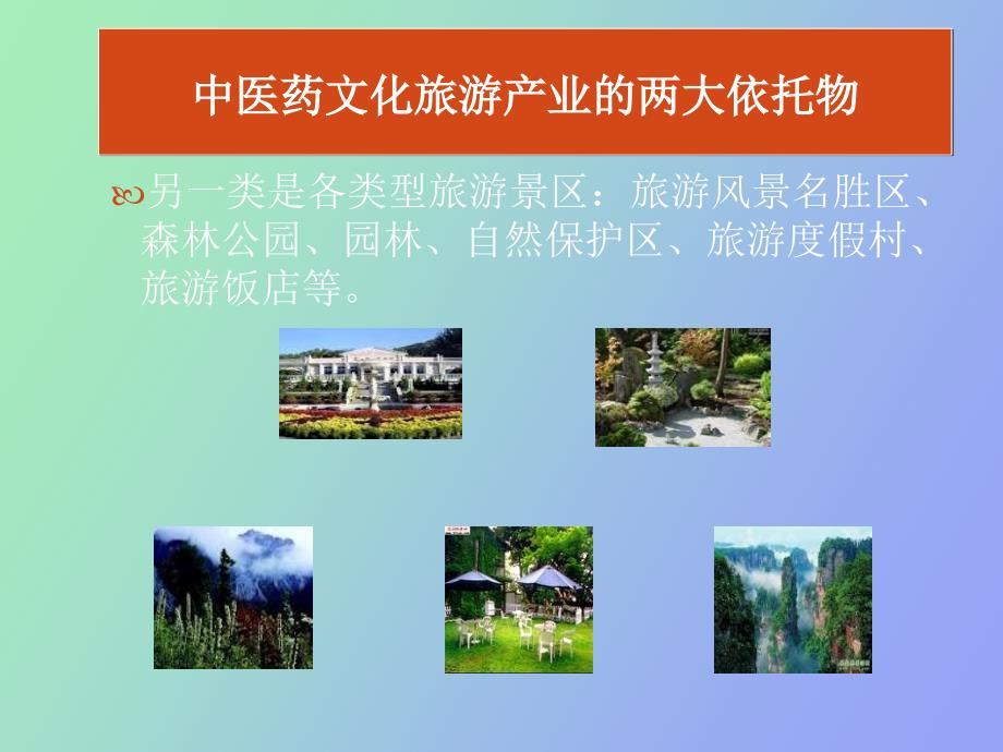 《中医药文化旅游基地》的策划或规划案编制_第4页