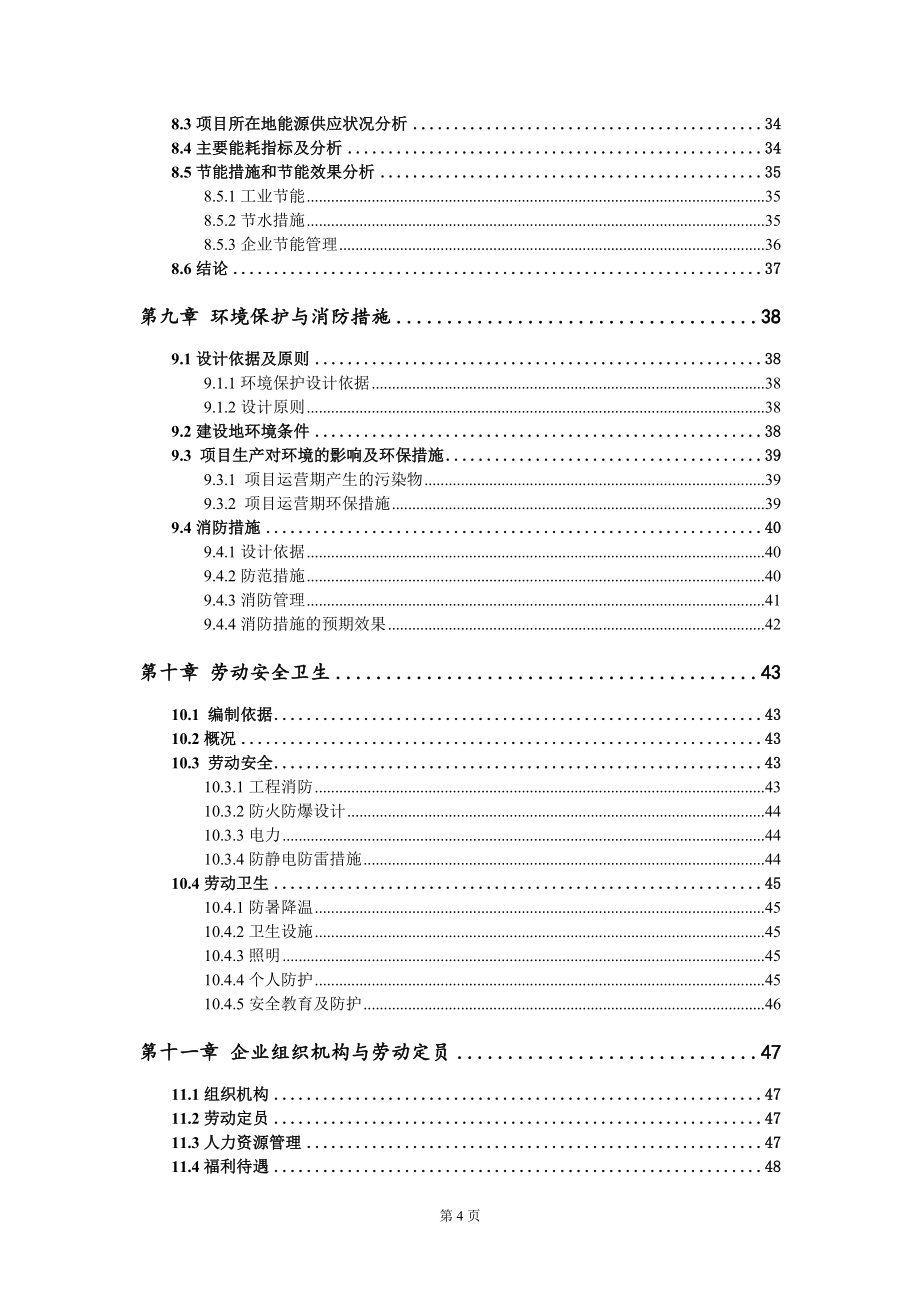 产6万吨武汉热干面生产线项目可行性研究报告模板-立项备案_第4页