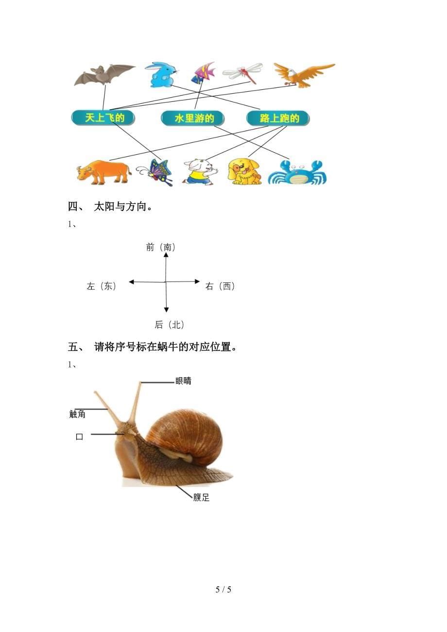 一年级科学下册期中试卷及答案【A4打印版】.doc_第5页