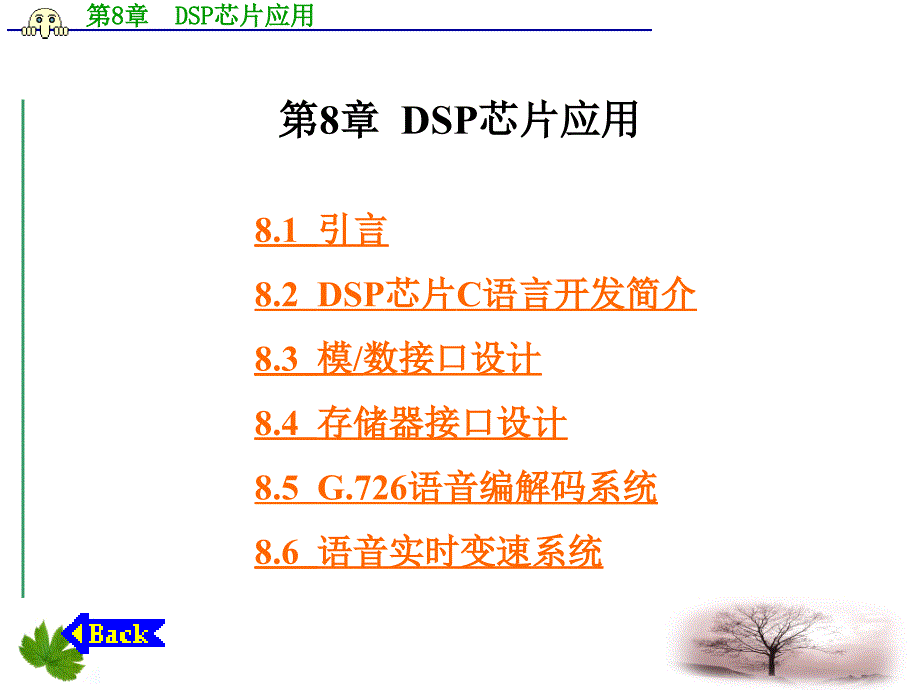 DSP芯片应用PPT课件_第1页