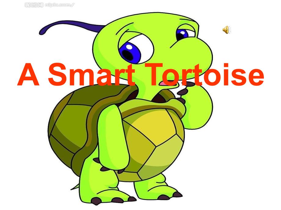 A Smart Tortoise_第1页