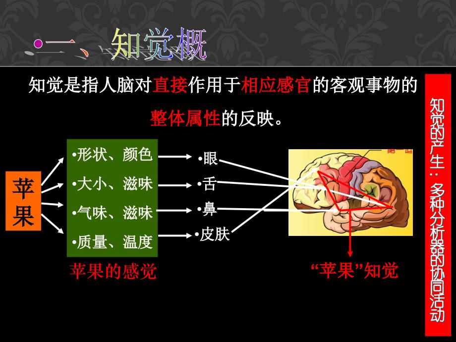 精品课件《小学生心理学》知觉的发展与教学(40P)_第2页