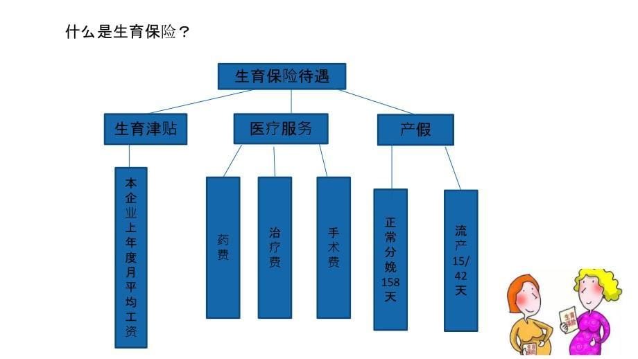 生育保险培训_第5页