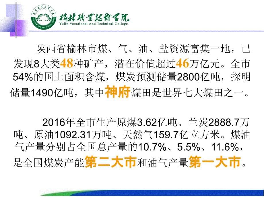 ppt课件煤化工绪论_第5页