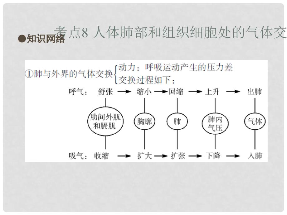 中考易（广东专版）中考生物 第4单元 考点8 人体肺部和组织细胞处的气体交换过程课件 新人教版_第2页