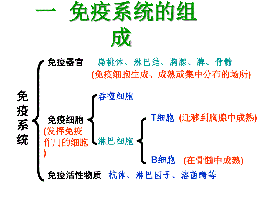 高中生物必修3稳态与环境第4节免疫调节PPT课件6_第3页