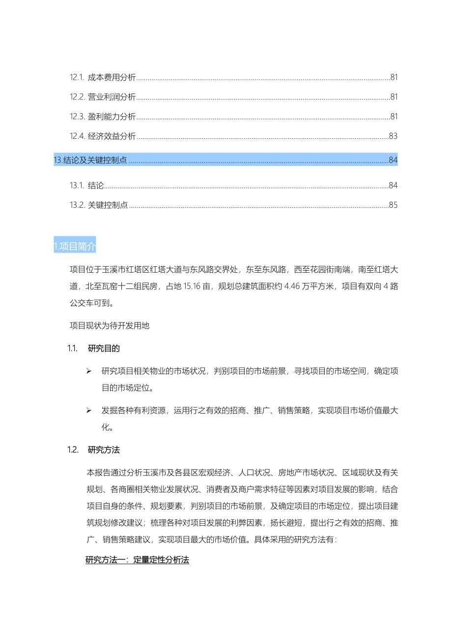 沃尔玛购物广场项目研究与策划报告_第5页