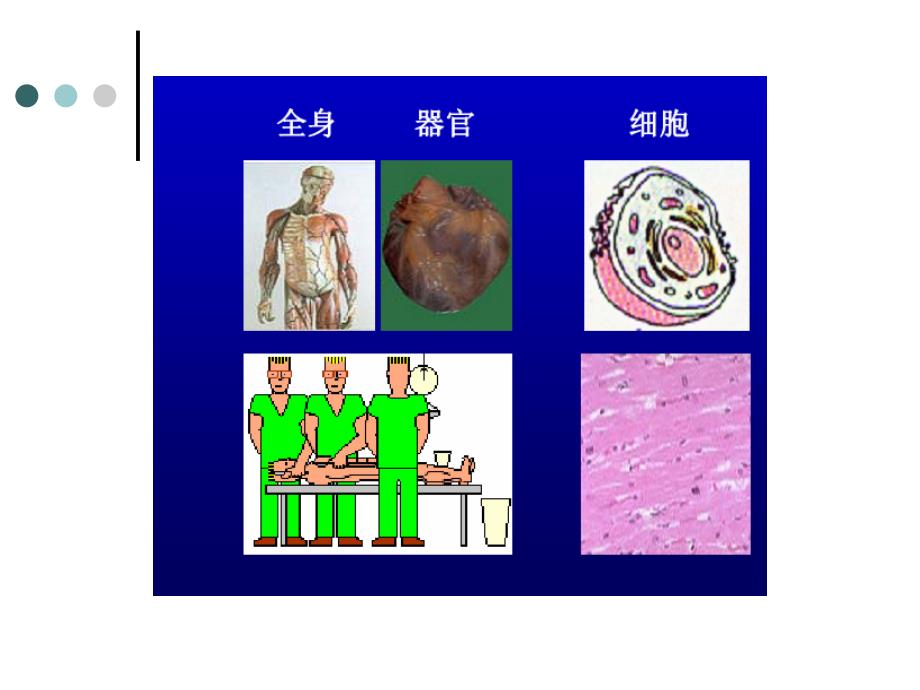 《细胞病理学概论》PPT课件.ppt_第2页