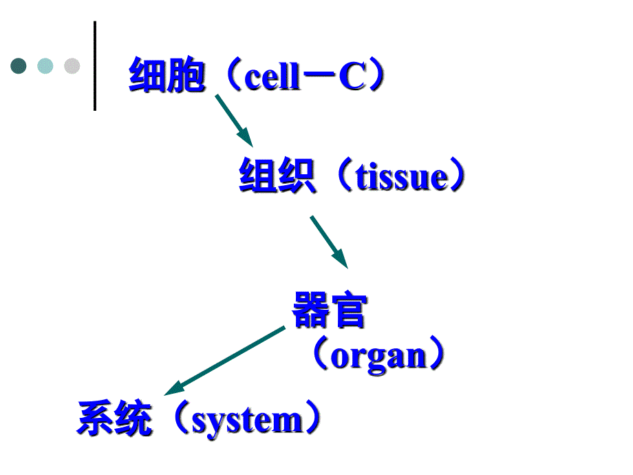 《细胞病理学概论》PPT课件.ppt_第3页