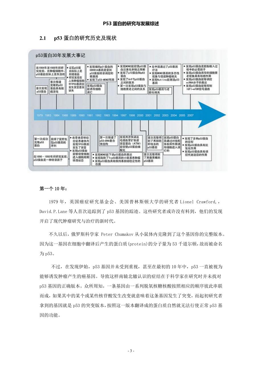 p53蛋白的研究与发展综述.doc_第3页