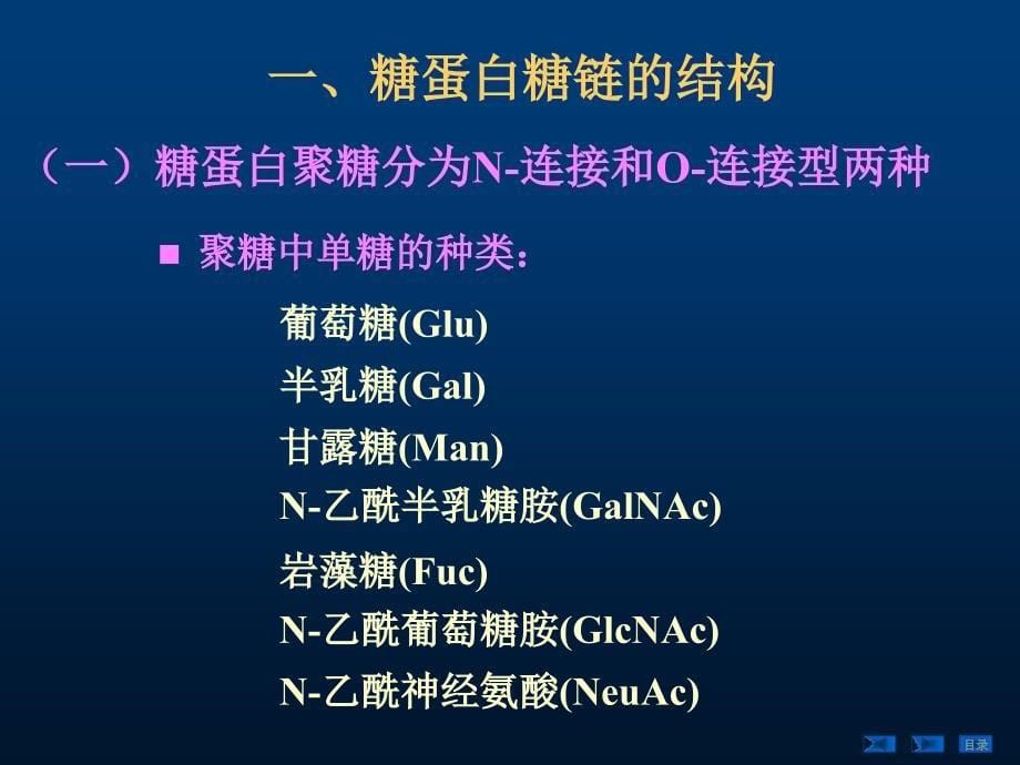 糖蛋白、蛋白聚糖和细胞外基质_第5页