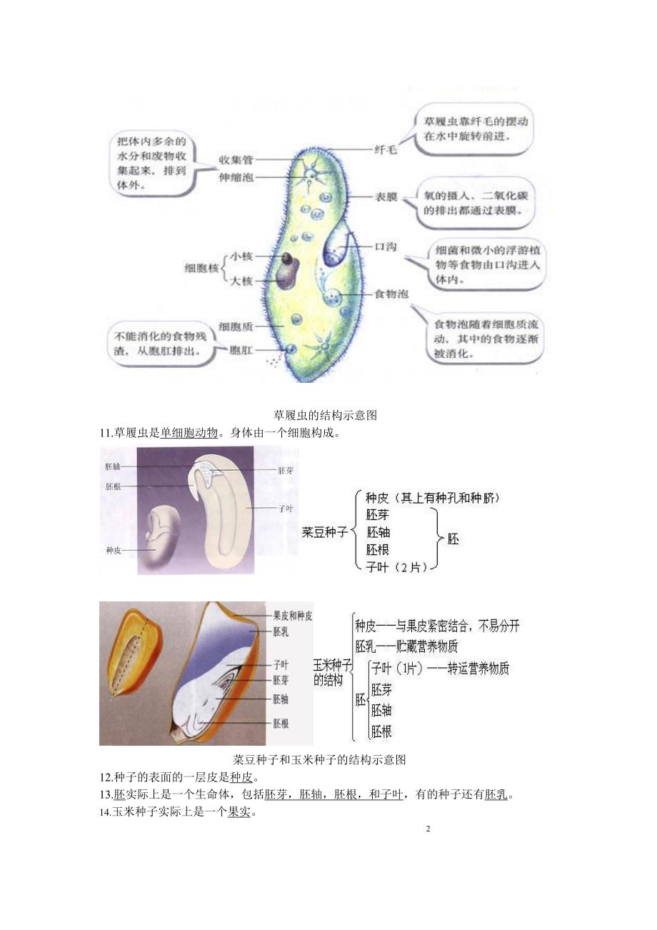 初中生物生物结构图专题复习_第3页