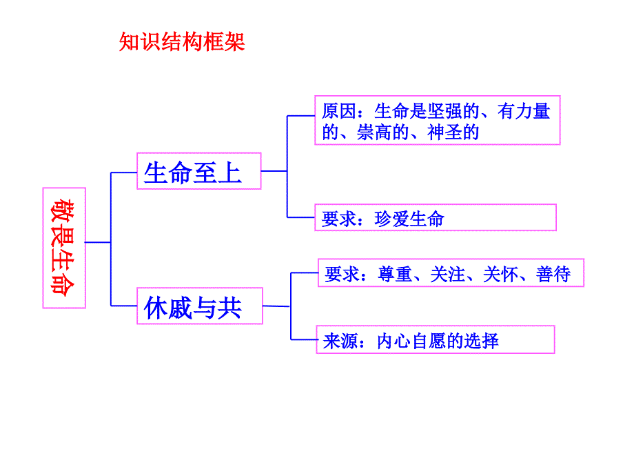 七年级道德与法治上册第八课探问生命课件新人教版_第3页