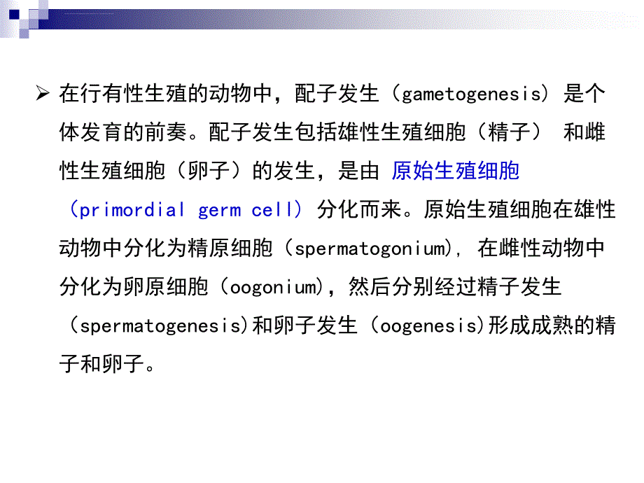 第三章配子发生ppt课件_第2页