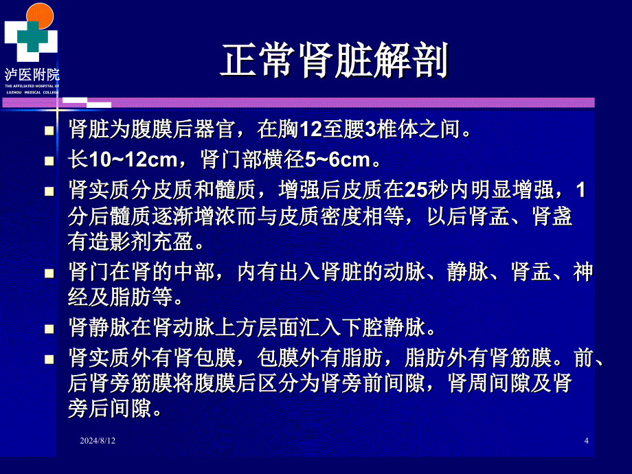 肾脏病变CT诊断_第4页