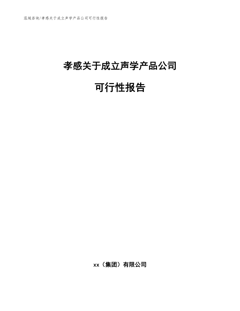 孝感关于成立声学产品公司可行性报告（模板范本）_第1页