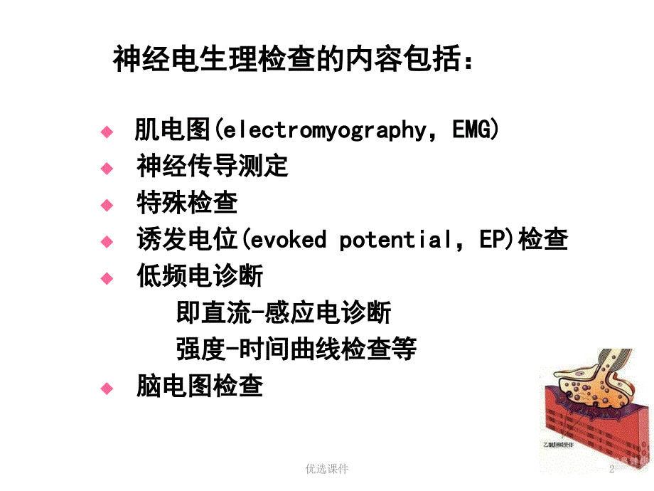 神经肌电图生理检查【特选资料】_第2页