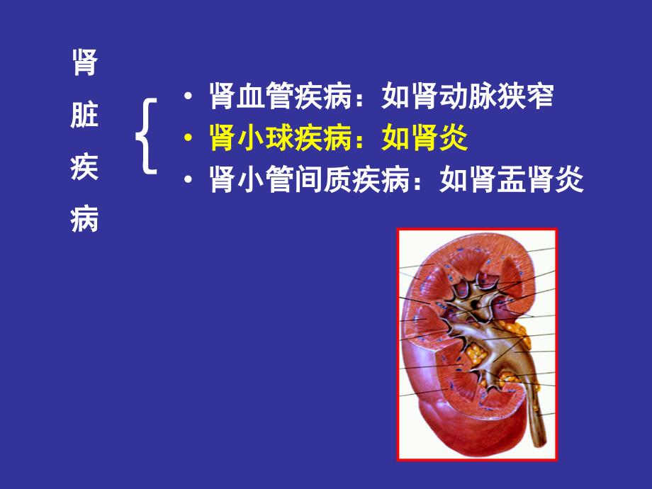 肾小球疾病中医PPT课件_第2页