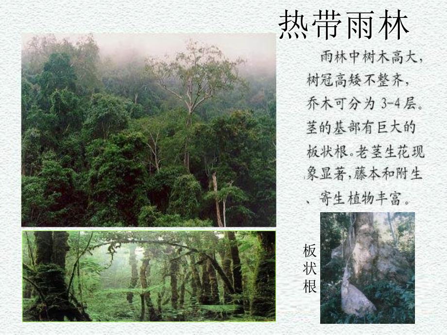 七年级生物生物圈是最大的生态系统_第4页