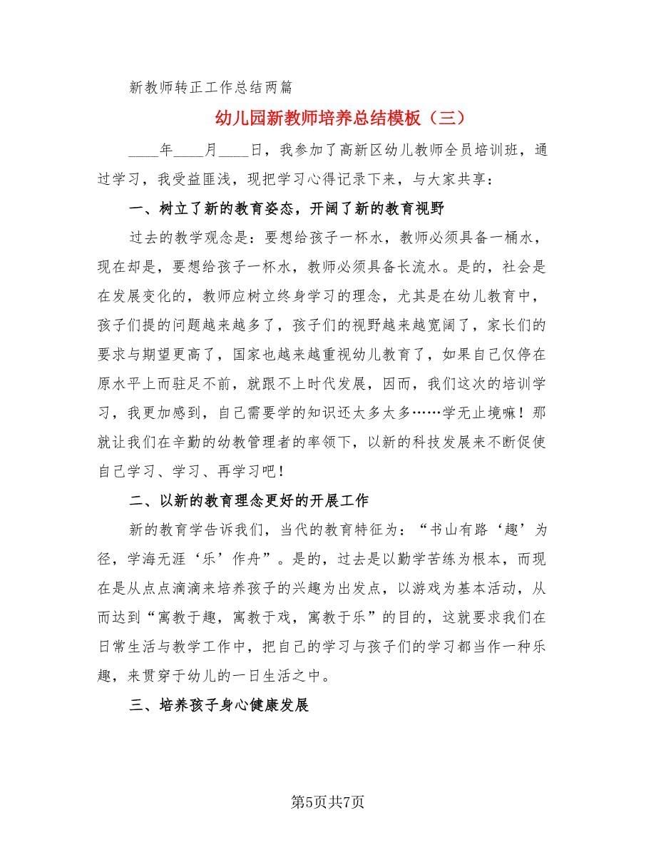 幼儿园新教师培养总结模板（三篇）.doc_第5页