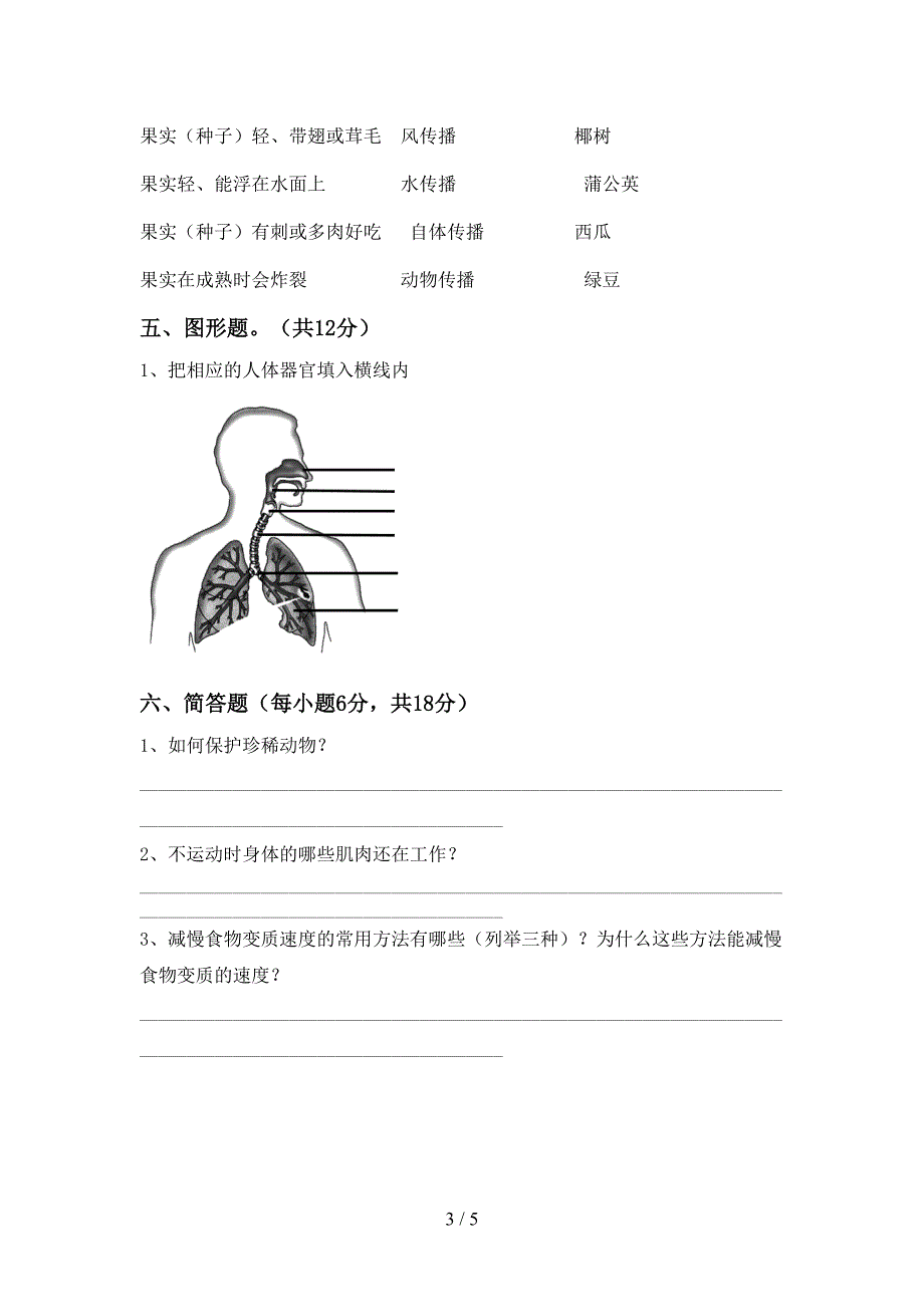 大象版四年级科学(上册)期中练习卷及答案.doc_第3页