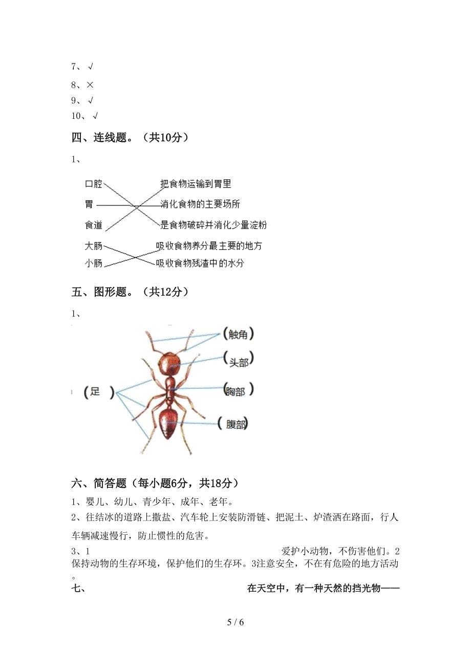 青岛版三年级科学(上册)期中摸底考试及答案.doc_第5页