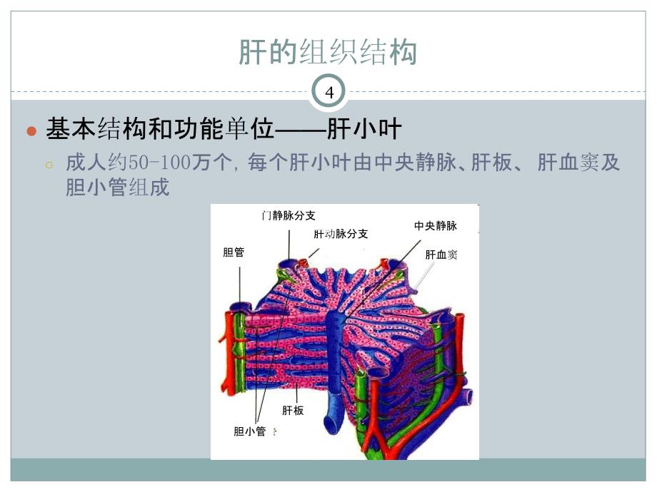 临床生化检验：肝胆疾病的生物化学检验_第4页