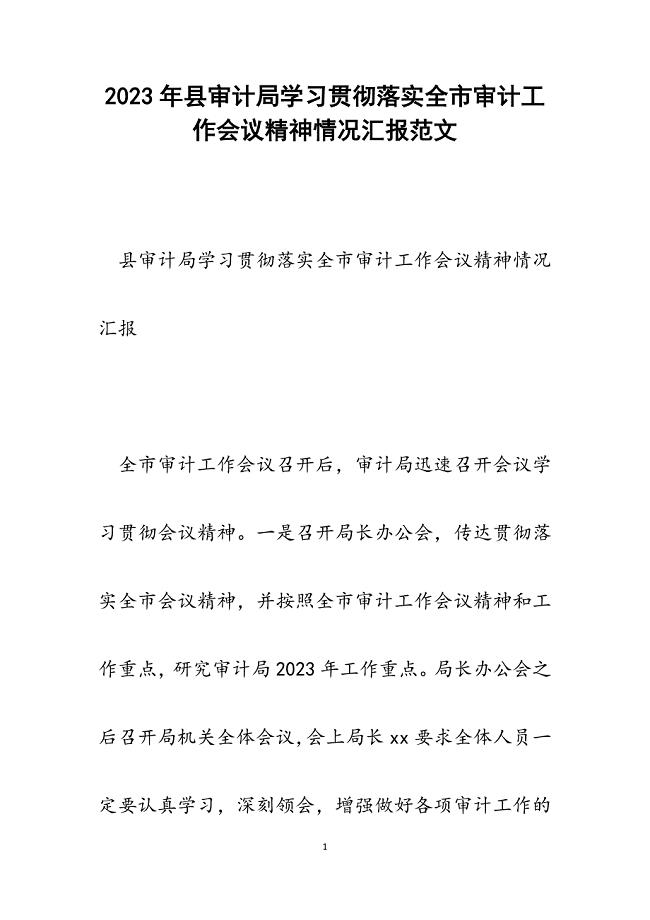 2023年县审计局学习贯彻落实全市审计工作会议精神情况汇报.docx