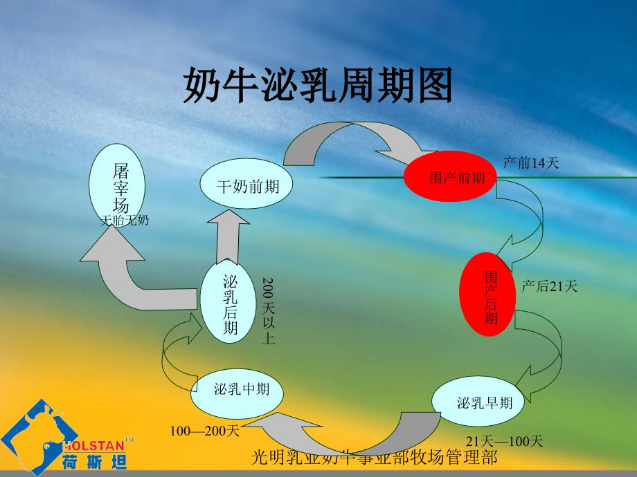 奶牛围产期的饲养管理_第2页