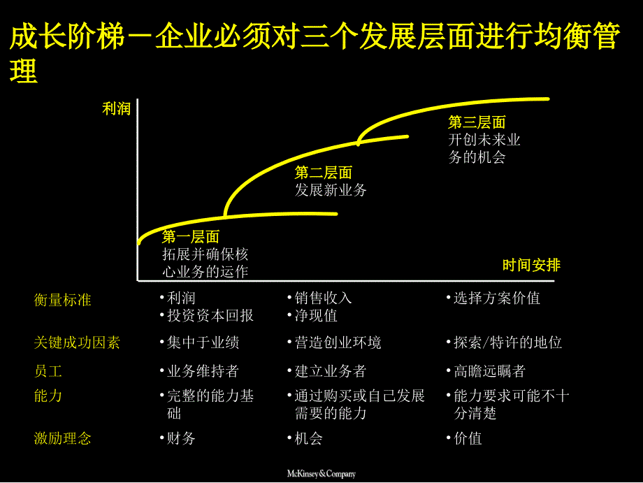 麦肯锡给德隆公司进入世界500强战略规划成长阶梯规划实施讨论_第3页