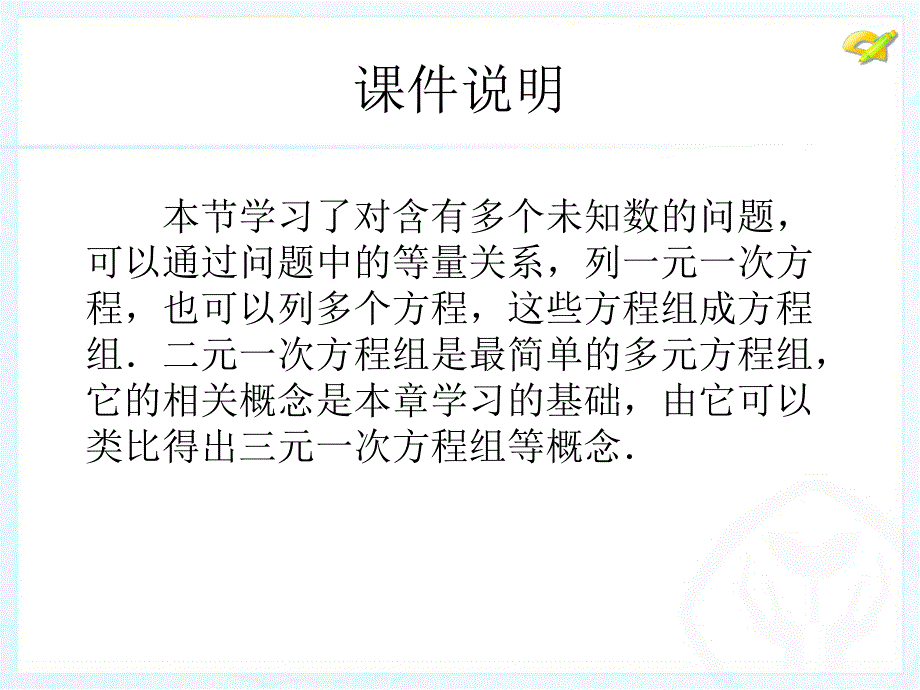 人教新版七下81二元一次方程组_第2页