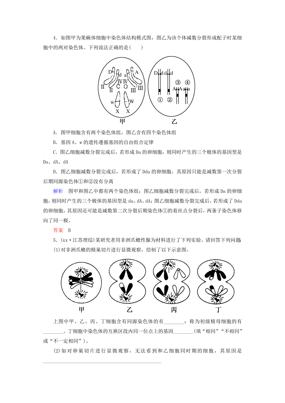 2022年高考生物总复习 1.14减数分裂和受精作用双基考题 新人教版必修2_第3页