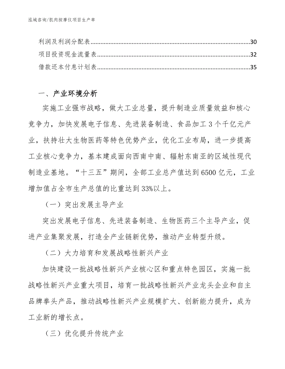 肌肉按摩仪项目生产率_第3页