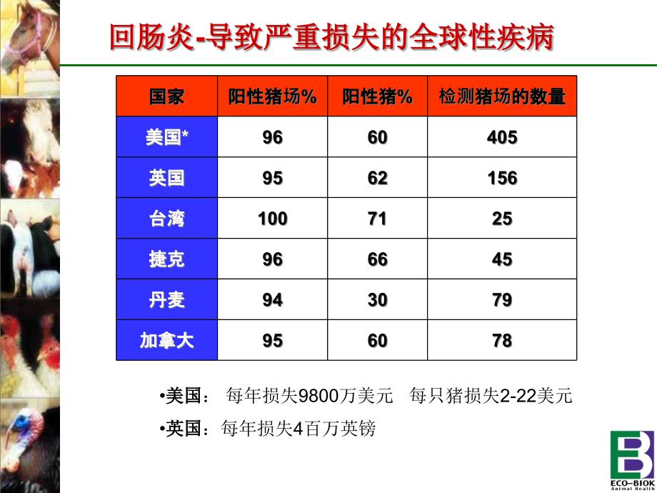 猪回肠炎猪回肠炎简介_第3页