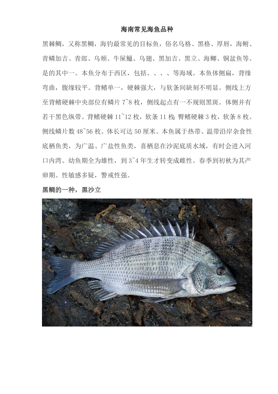 海南常见海鱼品种(共100页)_第1页