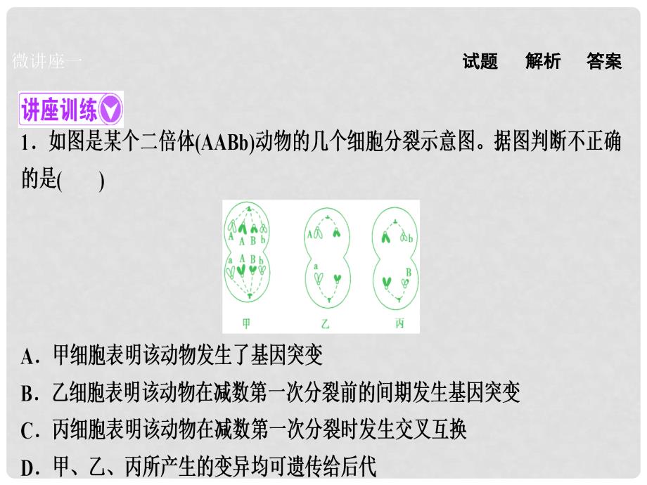 优化探究高考生物一轮复习 第七单元 生物的变异、育种与进化单元微讲座课件 新人教版_第3页