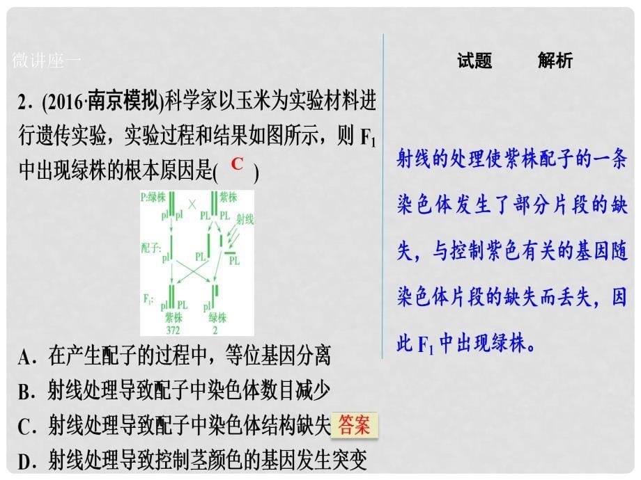 优化探究高考生物一轮复习 第七单元 生物的变异、育种与进化单元微讲座课件 新人教版_第5页