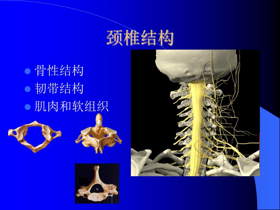 颈椎病的治疗与预防幻灯片_第4页