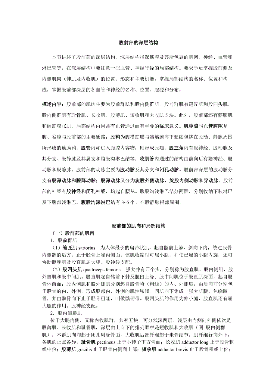 股前部的深层结构人体解剖学.pdf_第1页