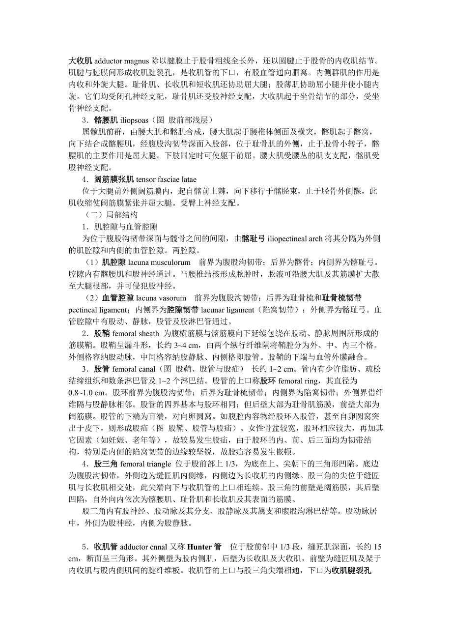 股前部的深层结构人体解剖学.pdf_第2页