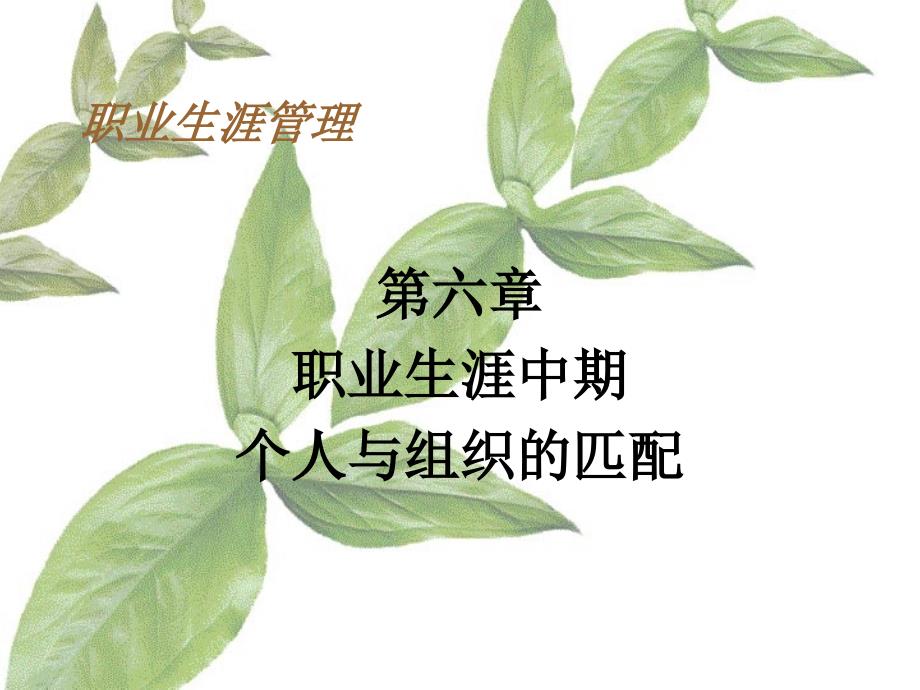 职业生涯中期个人与组织的匹配.ppt_第1页