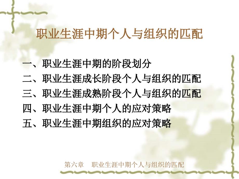 职业生涯中期个人与组织的匹配.ppt_第2页