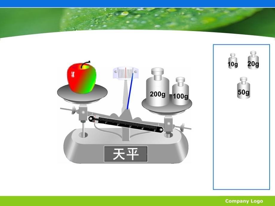 方程的认识最终稿赵震_第5页