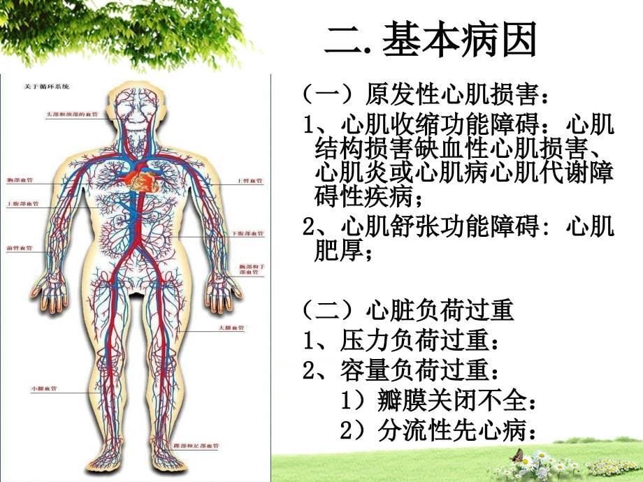 心力衰竭常见疾病PPT课件_第5页