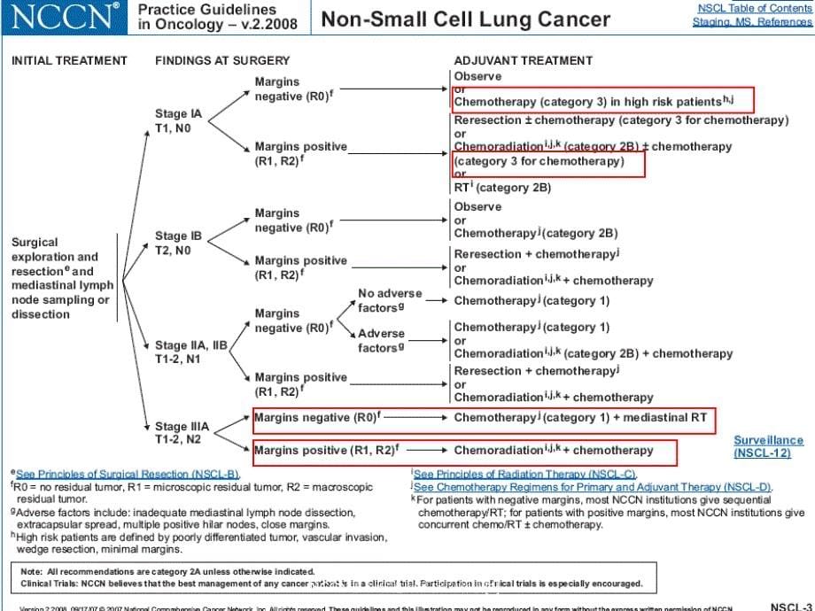 NCCN非小细胞肺癌指南解读范文课件_第5页