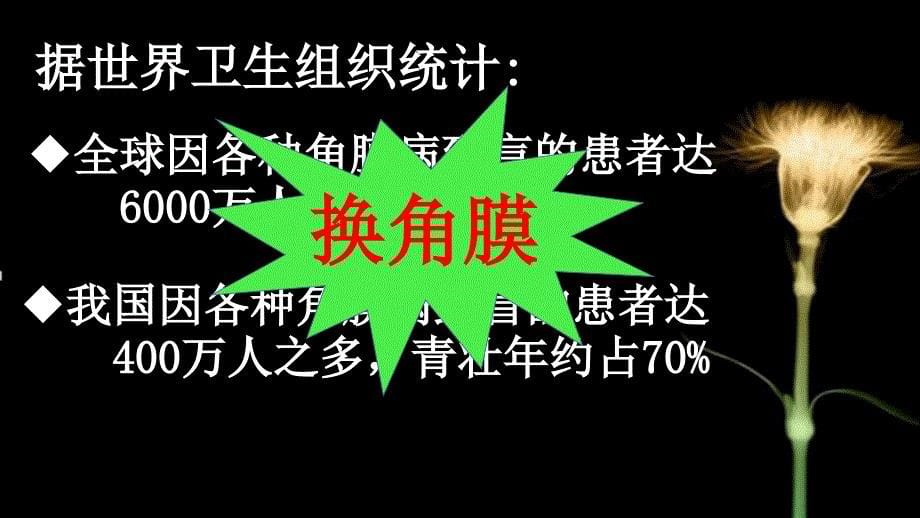 角膜移植、角膜捐献和人造角膜_第5页